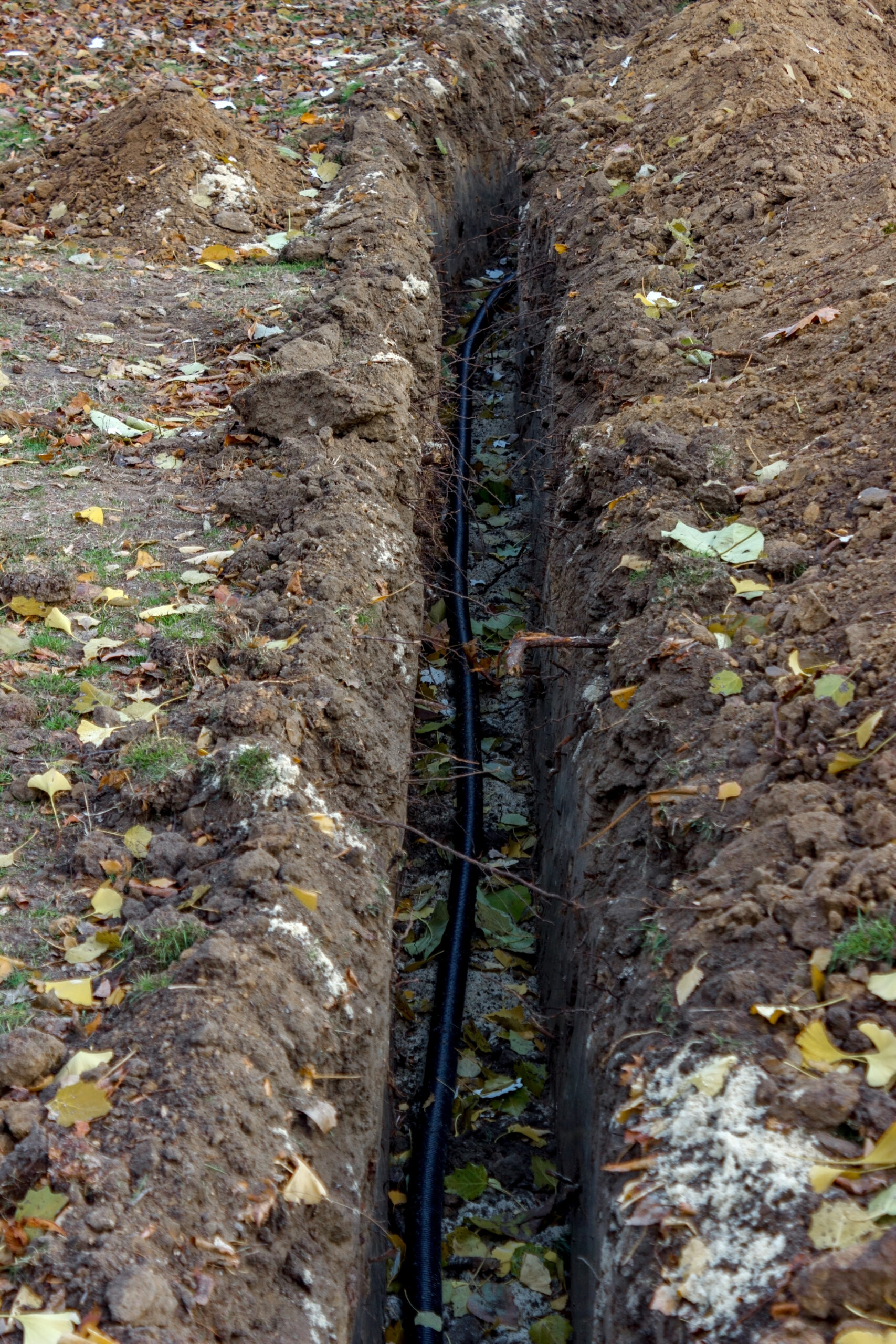 Application Image 2
